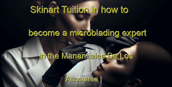 Skinart Tuition in how to become a microblading expert in the Manantiales De Los Altos area | MicrobladingTraining | MicrobladingClasses | SkinartTraining-Mexico